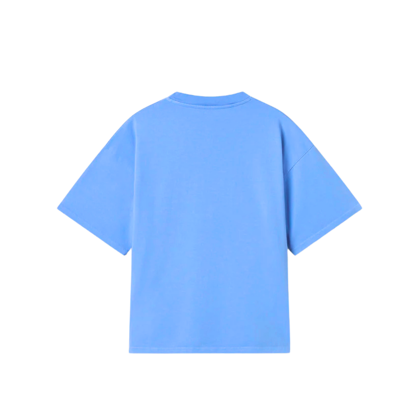 Premium Heavy Oversized Unisex T-Shirt - Sky Blue